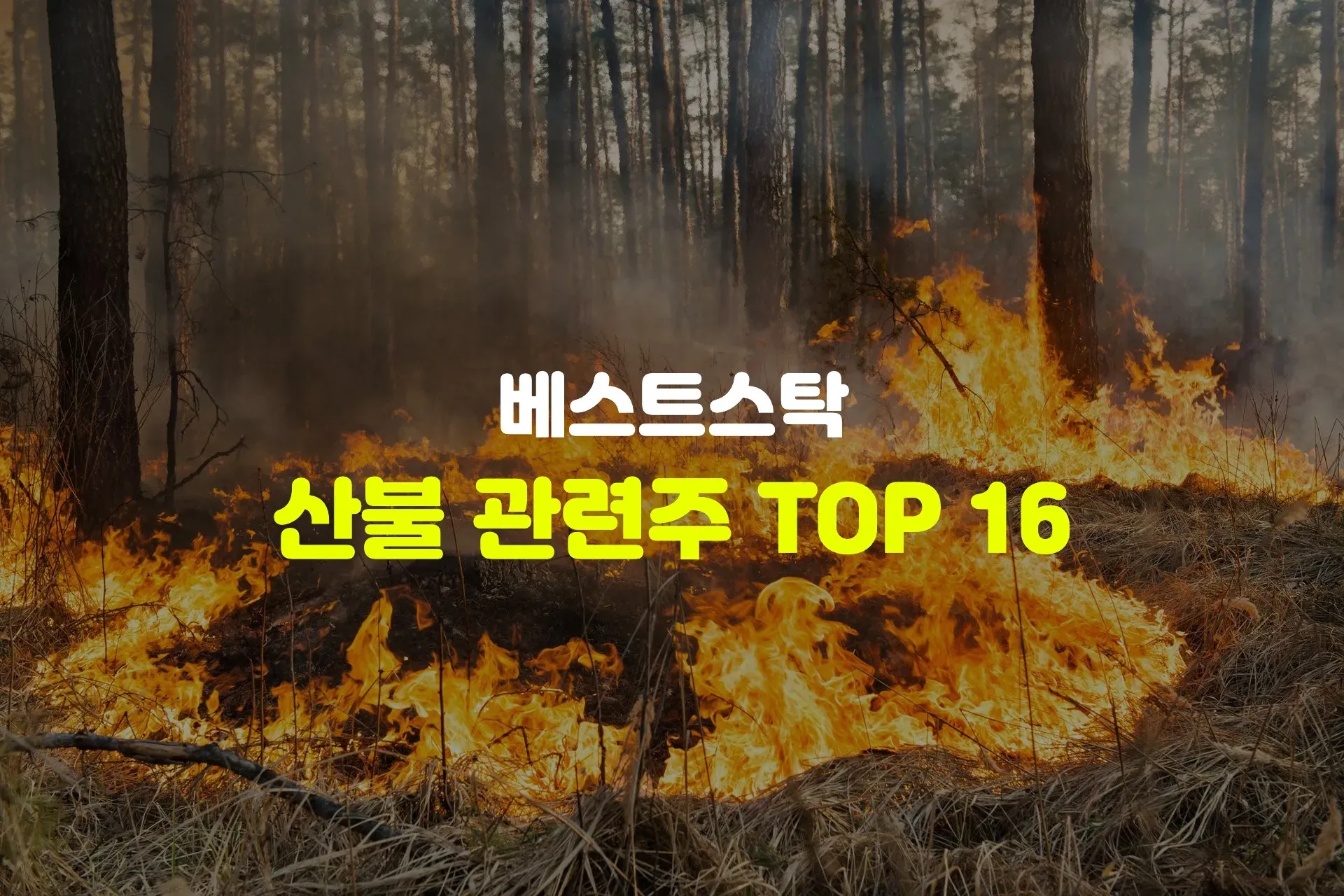 산불 관련주 TOP 16 | 수혜주, 대장주, 테마주