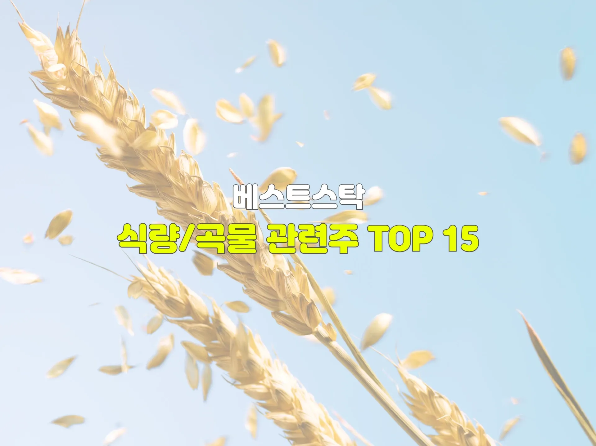 식량/곡물 관련주 TOP 15 수혜주, 테마주 정리 썸네일