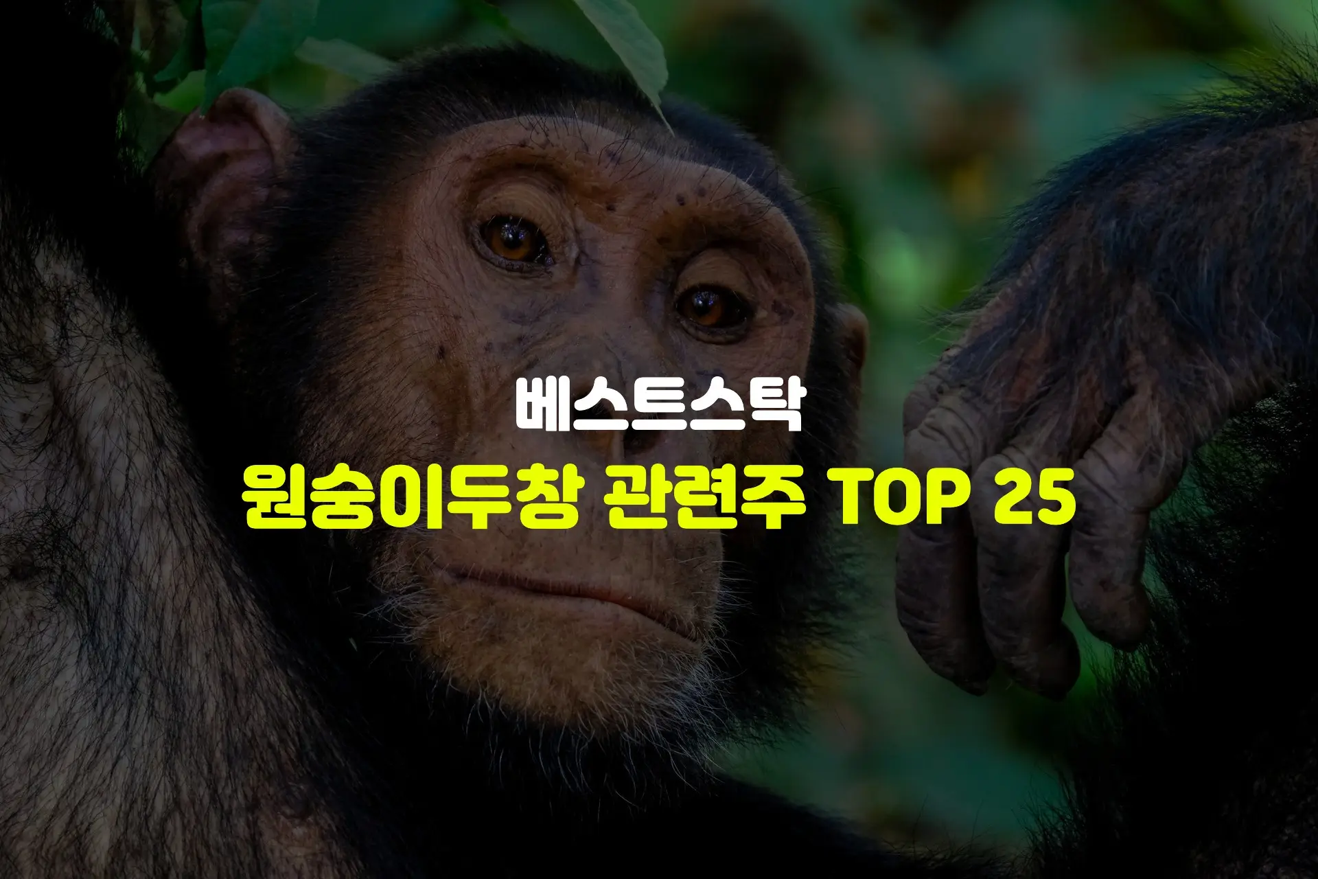 원숭이두창 관련주 TOP 25 썸네일