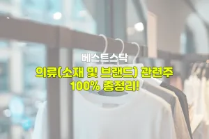 의류 관련주(소재, 브랜드) 100% 총정리!