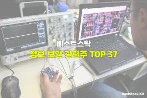 정보 보안 관련주 TOP 37