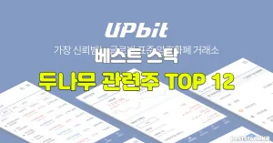 두나무 관련주 TOP 12
