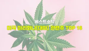 미국주식 마리화나(대마) 관련주 TOP 16