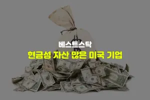 현금성 자산이 많은 미국 기업 (현금 부자 주식)