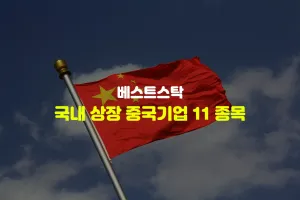 국내 상장 중국기업 11 종목 리스트