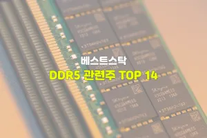DDR5 관련주 TOP 14