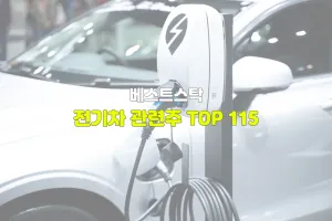전기차 관련주 TOP 115