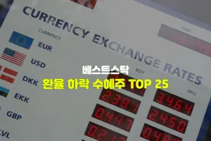 환율 하락 수혜주 TOP 25