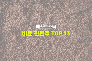 비료 관련주 TOP 13