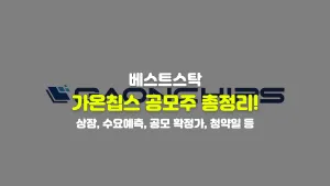 가온칩스 공모주 총정리!
