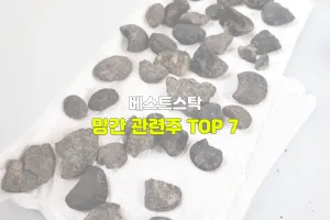 망간 관련주 TOP 7
