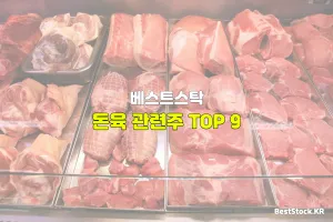 돈육 관련주 TOP 9