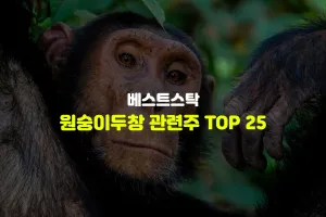 원숭이두창 관련주 TOP 25