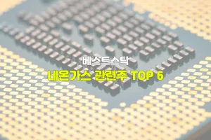 네온가스 관련주 TOP 6