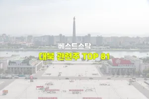 대북 관련주 TOP 81