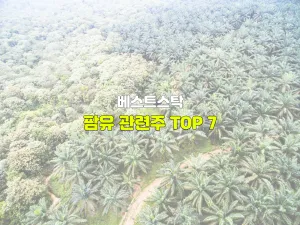 팜유 관련주 TOP 7