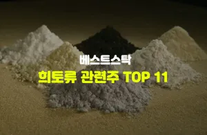 희토류 관련주 TOP 11