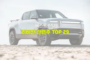 리비안 관련주 TOP 29