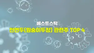 천연두(원숭이두창) 관련주 TOP 4