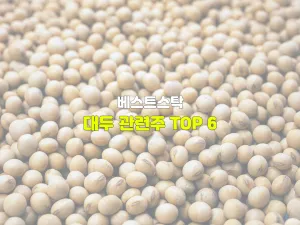 대두 관련주 TOP 6