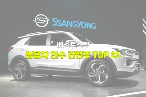 쌍용차 인수 관련주 TOP 25