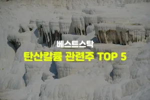 탄산칼륨 관련주 TOP 5