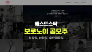 보로노이 공모주 정리